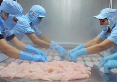 Seafood pangasius - Vietnam pangasius exports to UK up almost 70 percent in value