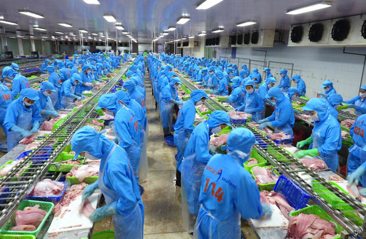 Hoạt động sản xuất chế biến