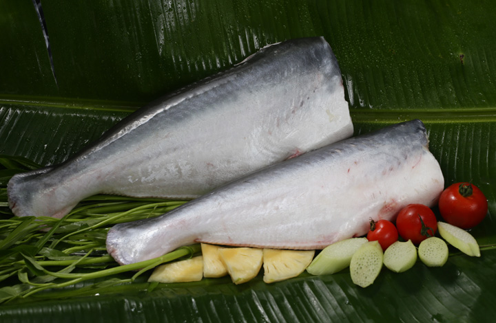 Pangasius HGT