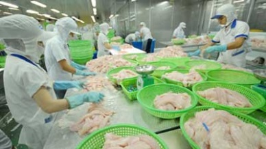 Seafood pangasius - Pangasius exports to Mexico increased by 18%