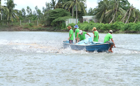 Vùng nuôi trồng