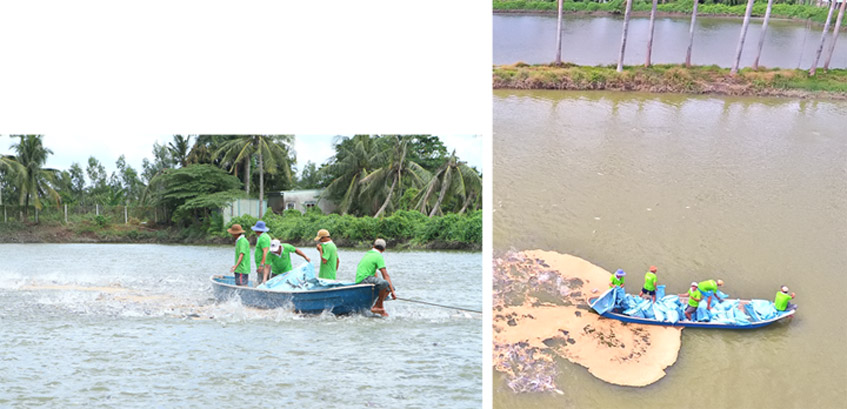 AQUACULTURE AREAS