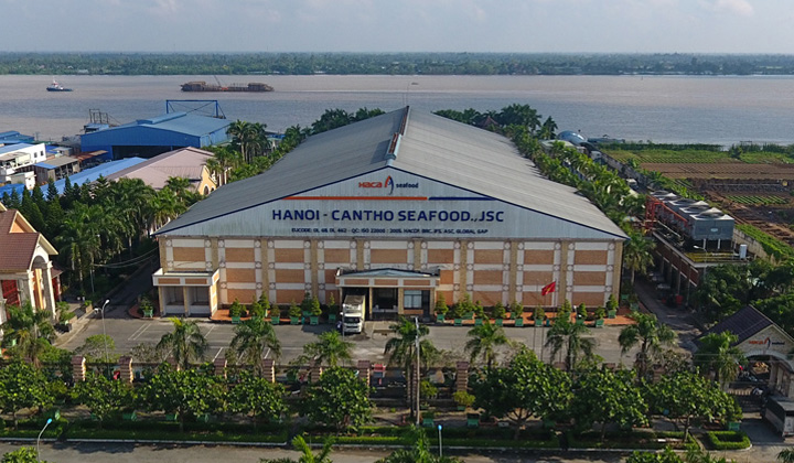 Video giới thiệu về Hacaseafood
