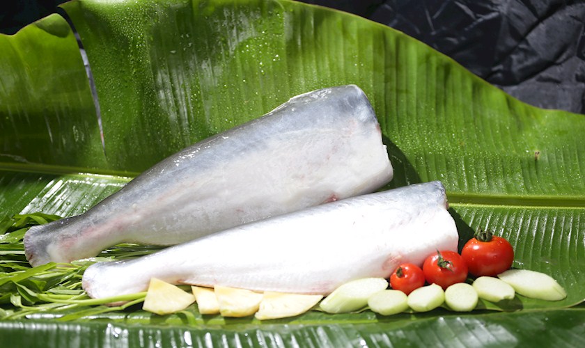 Seafood pangasius