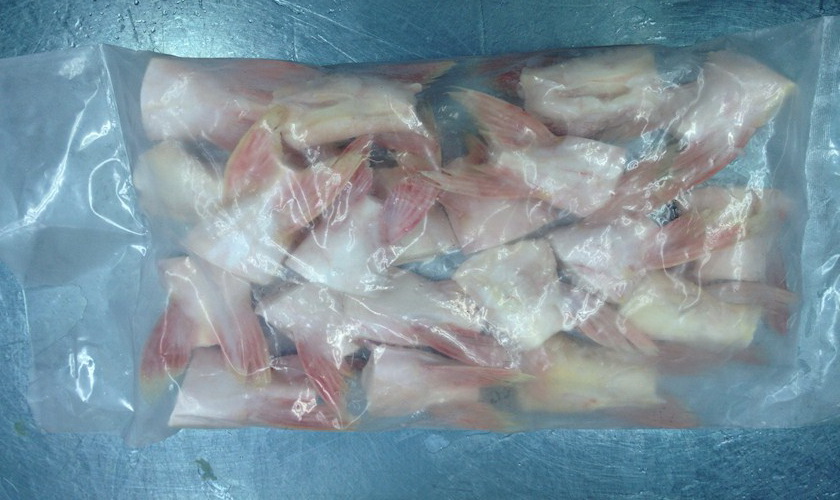 Seafood pangasius